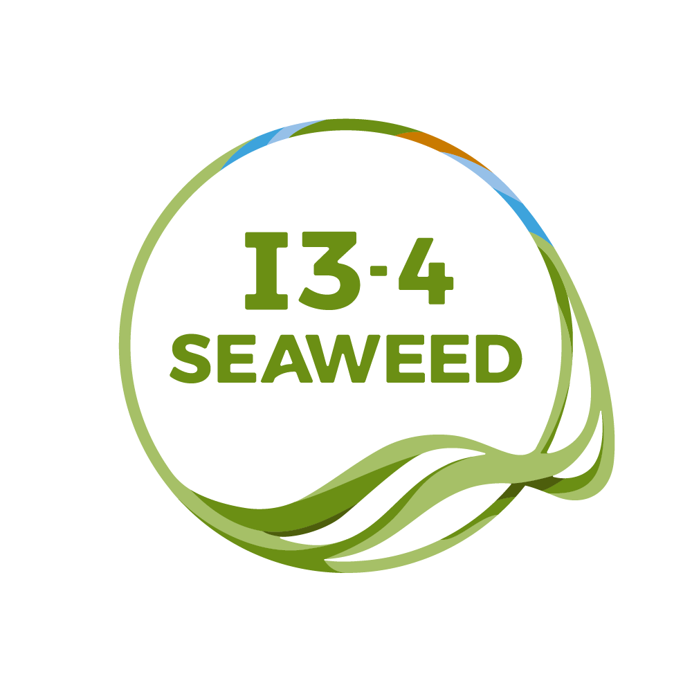i3-4-Seaweed
